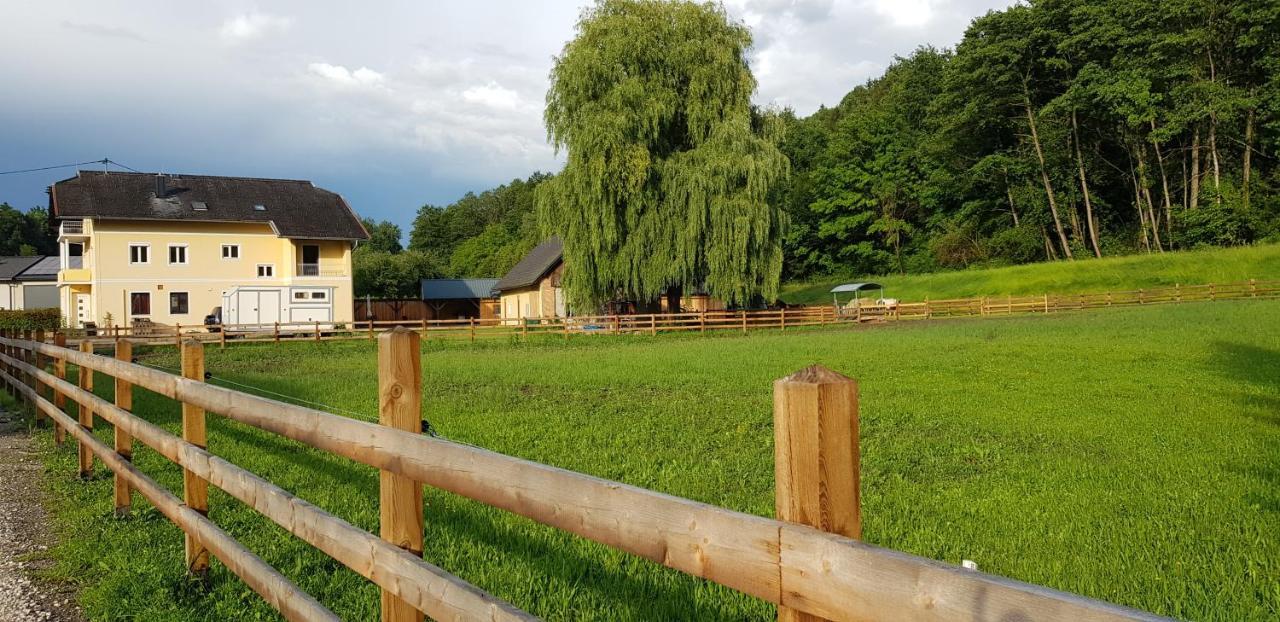 상트칸지안 Haus Seidendorf 아파트 외부 사진